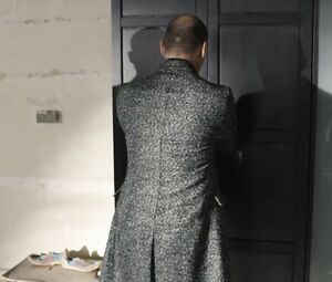 Mersiha Husagic Naked - Bad Cop - kriminell gut s01e01 (2017)