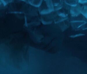 Charlize Theron, Sofia Boutella Naked - Atomic Blonde (US 2017)