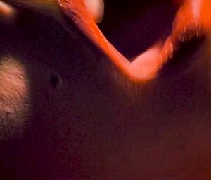 Sex Scene Molly Parker, Alisha Klass - The Center of the World (2000)