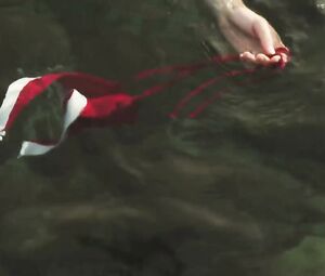 Claire Helene Cahen Nude - Lambeaux (2011)