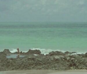 Elisa Heidrich Nude - Animal Politico (2017)