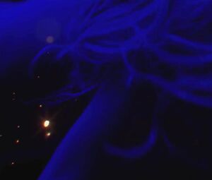 Joanne Palmaro Nude - Justice Pleasure (2017)