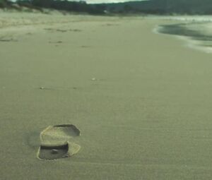 Nicole Kidman, Shailene Woodley, Laura Dern nude - Big Little Lies S01E03 (2017)