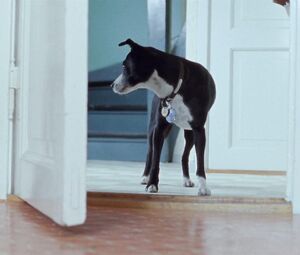 Helene Bergsholm nude – Turn Me On Dammit (2011)