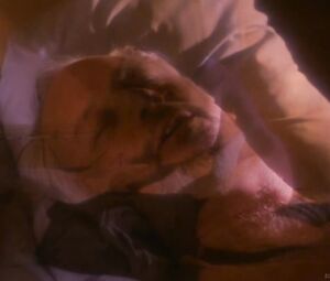 Topless actress Anna Nicole Smith - To the Limit (1995)