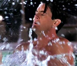 Sex Scene Elizabeth Berkley Sex Scene - Showgirls (1995)