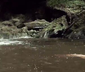 Mia Goth, Olwen Fouere Nude - The Survivalist (2015)