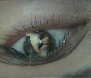 Topless actress Renata Dancewicz  - Devilish Education