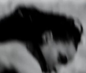 Sasha Lane Nude - Moses Sumney - Lonely World (2017)