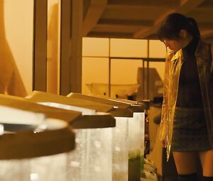 Ana de Armas Nude - Blade Runner 2049 (2017)