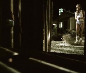 Arielle Kebbel Nude Scene From Reeker