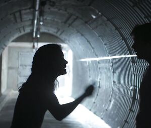 Sexy Tatiana Maslany - Two Lovers And A Bear (2017)