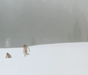 Sexy Sandra Huller & Hilde Van Mieghem - Der Architekt (2008)