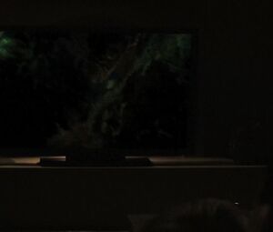 Sexy Rena Riffel - Exit to Hell (2013)