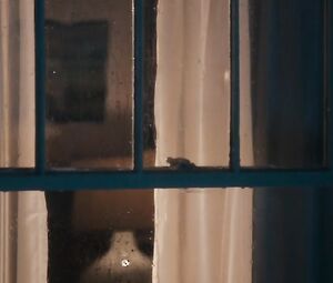 Jennifer Lopez nude, Lexi Atkins nude โ The Boy Next Door (2015)