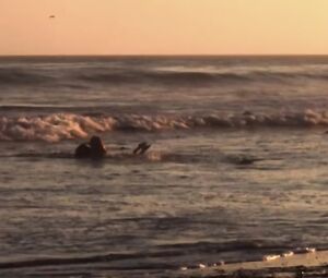 Amy Seimetz Nude - 9 Full Moons (2013)