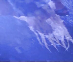 Topless actress Pamela Anderson Nude - Barb Wire (1996) Striptease