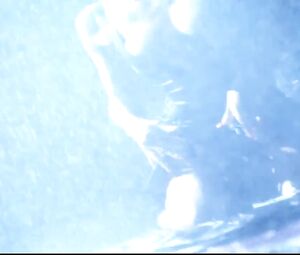 Topless actress Pamela Anderson Nude - Barb Wire (1996) Striptease