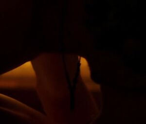 Marcia Gay Harden nude โ After Words (2015)