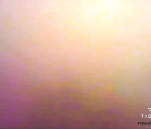 Topless actress Taylor Swift, Rihanna, Kim Kardashian, Amber Rose - Famous (2016)