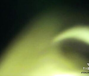 Topless actress Taylor Swift, Rihanna, Kim Kardashian, Amber Rose - Famous (2016)