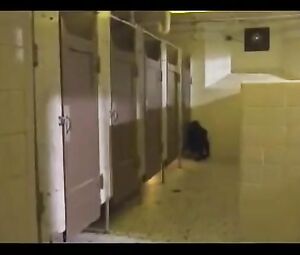 Celebs Fuck-A-Thon Vignette Mary McDonnell You Can Thank Me Afterward