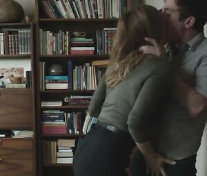 Sex video Sasha Alexander Bare - Shameless S05 BR (2015)