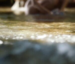 Sex Scene Compilation Game of Thrones - Season 4  (Celebrity Sex Scenes from the Series)