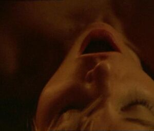 The Principles of Lust