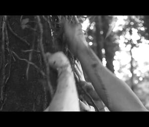 Anna Aaron - Sea Monsters