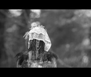 Anna Aaron - Sea Monsters