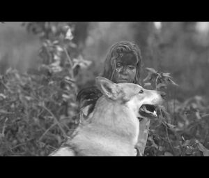 Anna Aaron - Sea Monsters