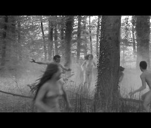 Anna Aaron - Sea Monsters