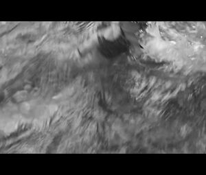 Anna Aaron - Sea Monsters