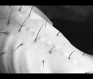 BEHEMOTH - Blow Your trumpets Gabriel