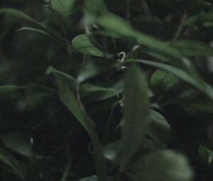 Nicola Testa - Lost & Found
