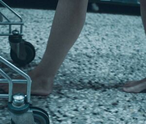 TRENTEMØLLER-REDEFINE