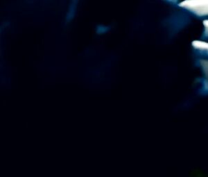 The Doll Lab - Birth Of Bee-Bop