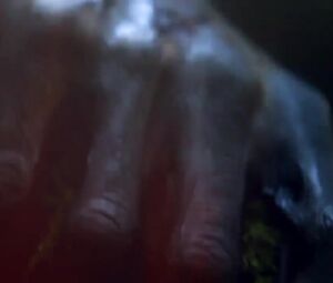 The Doll Lab - Birth Of Bee-Bop