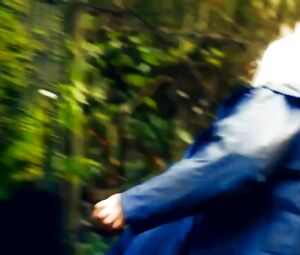 The Doll Lab - Birth Of Bee-Bop