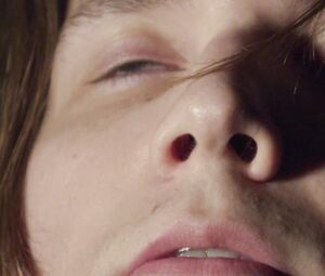 The Flaming Lips and Amanda Palmer - The First Time Ever I S