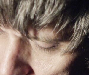 The Flaming Lips and Amanda Palmer - The First Time Ever I S