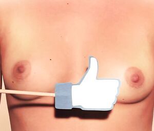 Vincha - Les pβtits seins