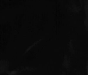 PORN MUSIC - WINTHER - ANNIE