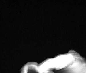 PORN MUSIC - WINTHER - ANNIE