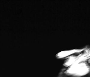 PORN MUSIC - WINTHER - ANNIE