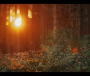 Cosplay Model - Naked in the Park