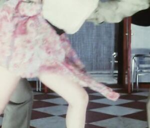 Full Nude and Pussy Strip Nude BURLESK Show