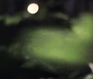 Kate Naked Home and Nude Shower and Nude Outodor