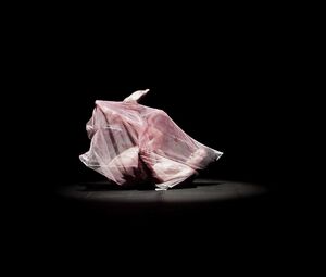 Naked Asian Art Performance -009